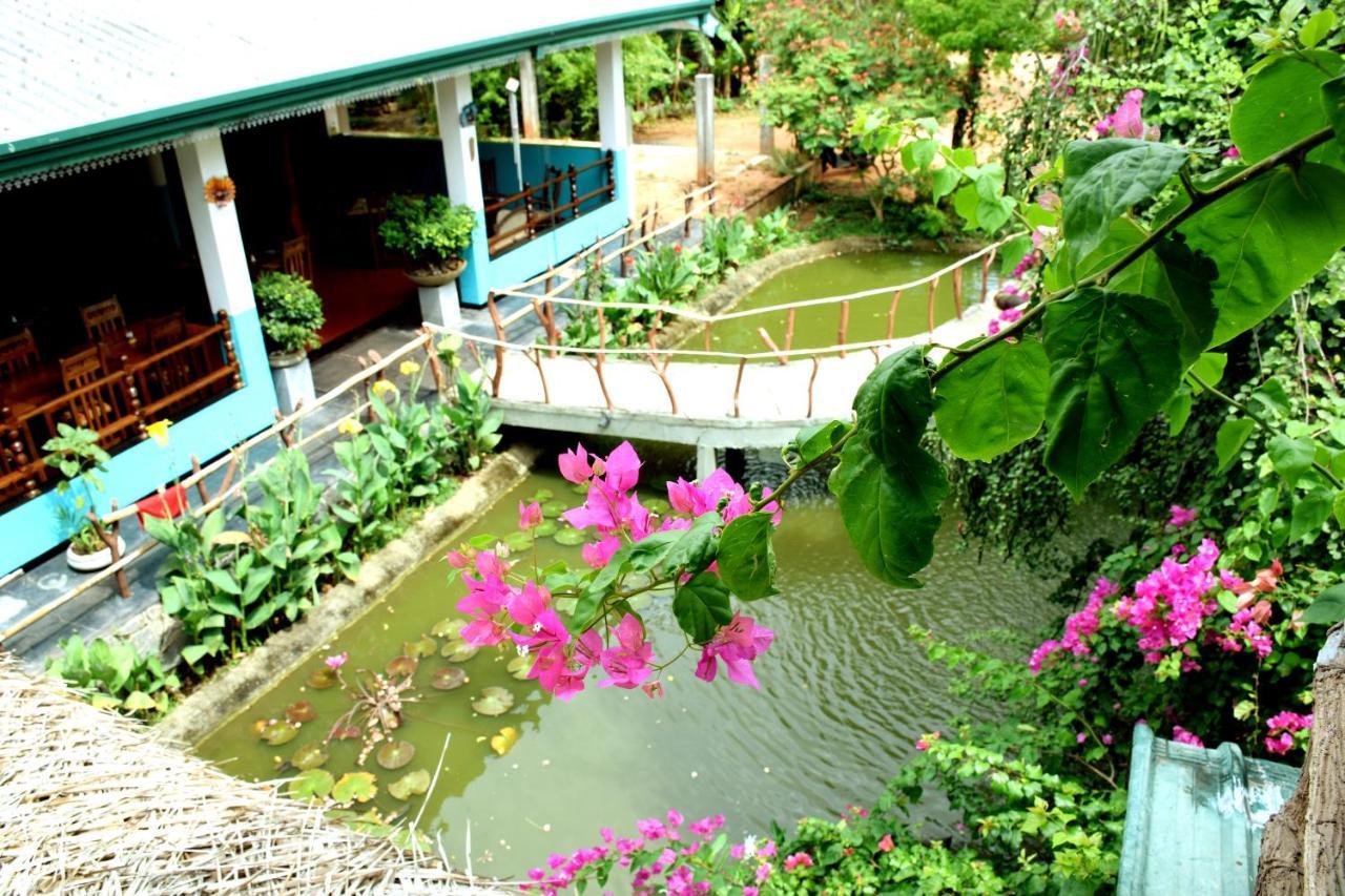 Hungry Lion Resort Sigiriya Exterior foto